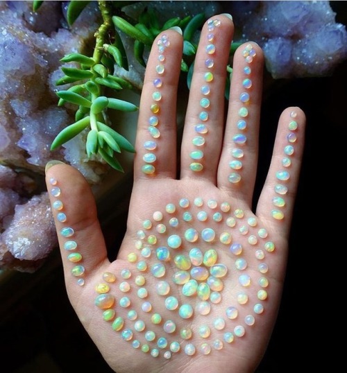 mineraliety: Seeing baby Opals arranged on a palm is oddly satisfying. Thank you @spiritnectar /////