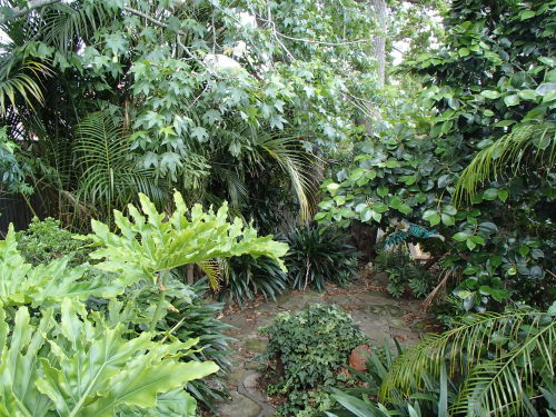 tiger-breeze:  my backyard dont delete the source please :)