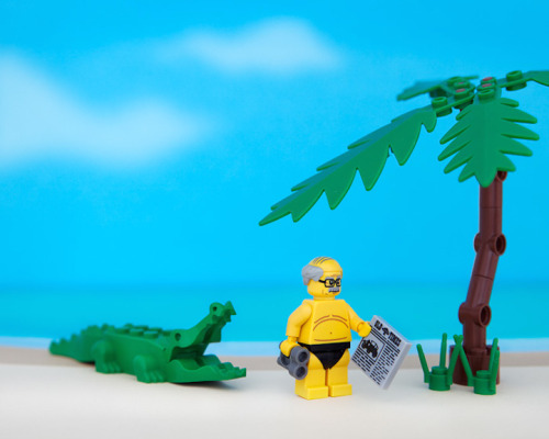 mymodernmet:  Photographer Jeff Friesen‘s series 50 States of LEGO reimagines the different states of the USA in LEGO form, humorously representing each state by capturing a unique aspect of the place’s history, geography, or culture.