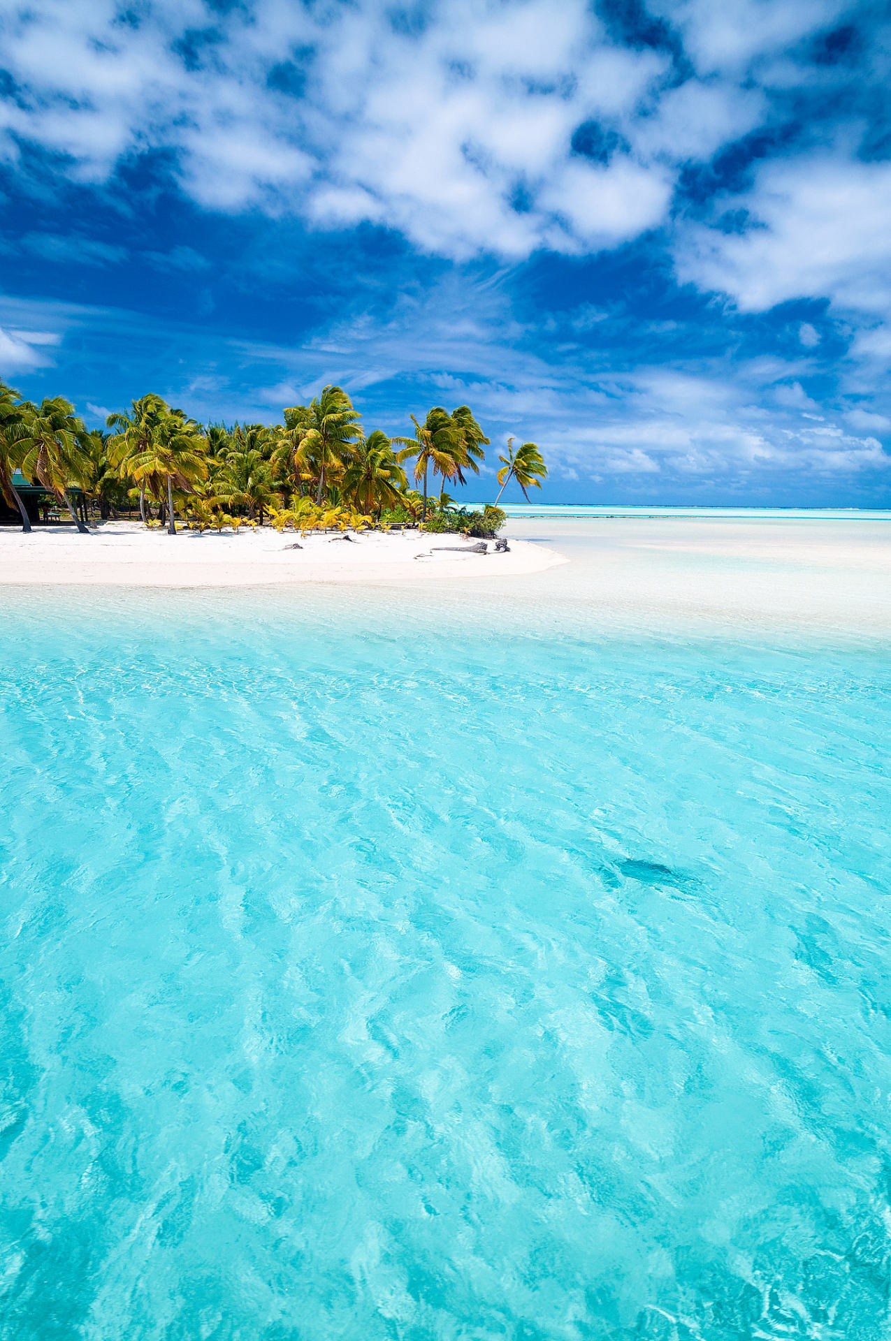 vurtual: Tropical Postcard (by Xavier Hoenner) Aitutaki, Cook Islands 