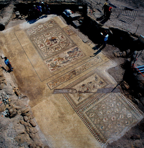 museum-of-artifacts:Roman mosaic unearthed in Lod, Israel, 4th century A.D.