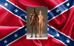 femdomhotwifecuckoldinterracial:  Confederate Interracial