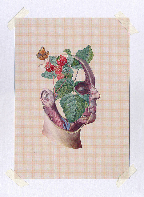 feru-leru:  #SPRINGSERIES 02 by Molokid on Flickr. 