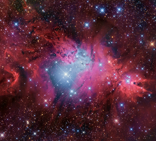 Fox Fur Nebula /سديم فراء الثعلب