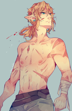 crimson-chains:  Some shirtless Link ^^And the poor Shark people who are just trying to keep this idiot alive XD