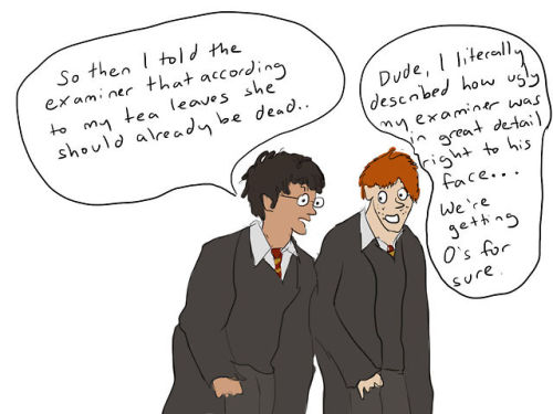 harrypottersdeadparents: My favourite ridiculous idiots. 