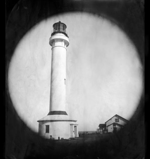 Pt. Arena CA 11.20208 x 10″ tintype