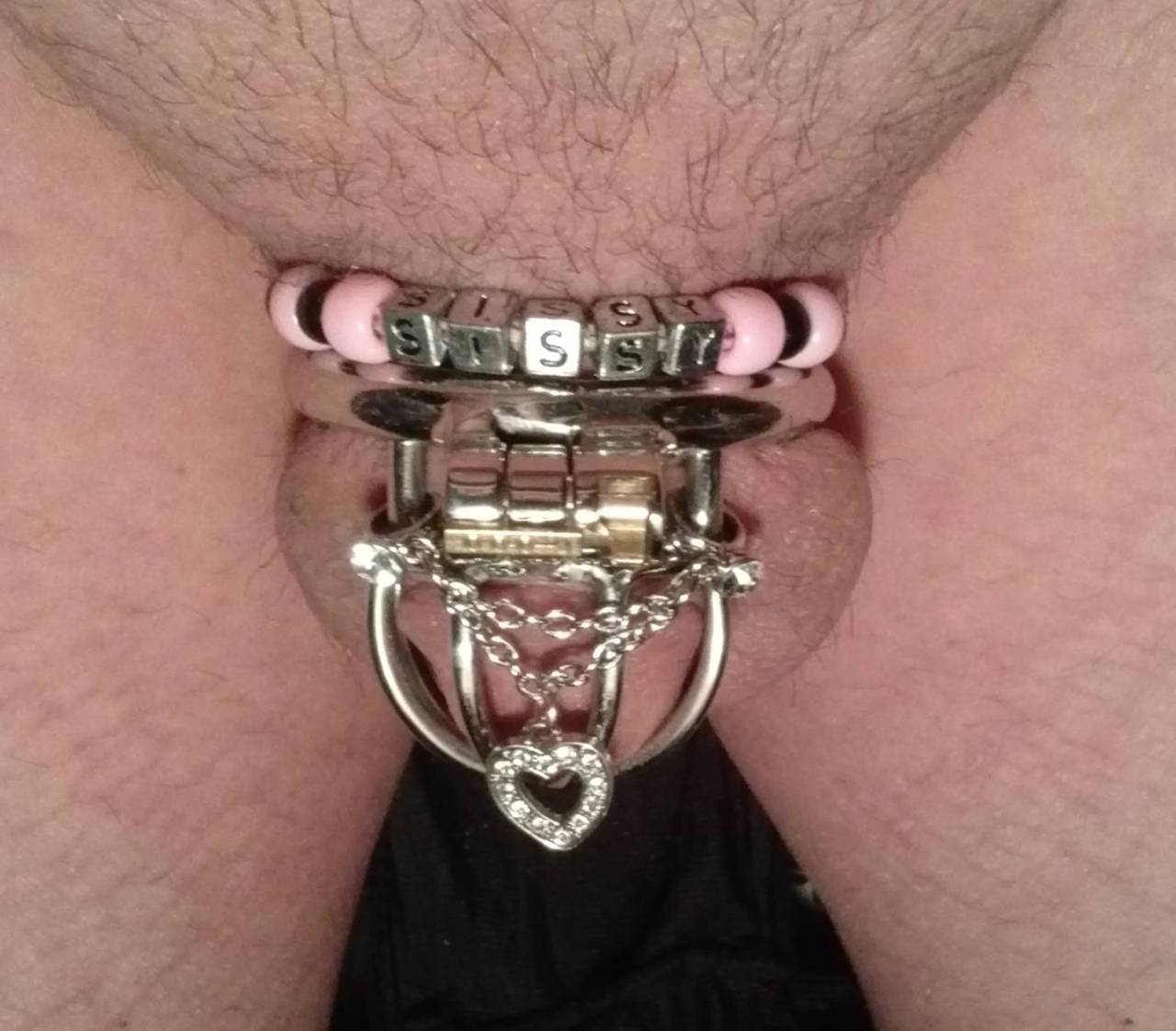 justcaged: tkellississydesires: Thought I would post a few pictures of my little
