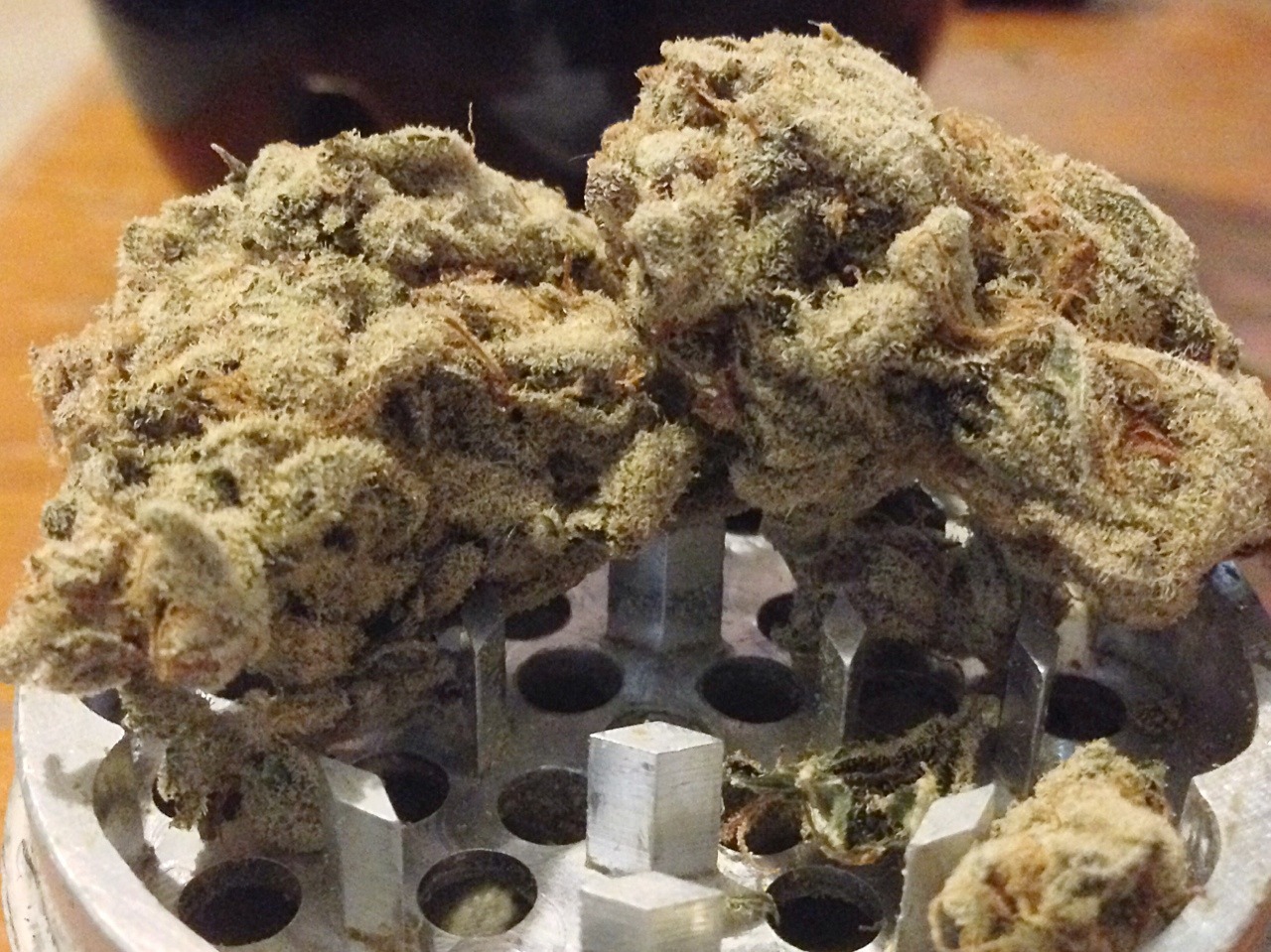 shawtynug:  But I dont wanna break the big nugs 😭