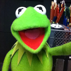 womaninterrupted:  section9:  samuraifuckingfrog:  So, the Muppets have been posting selfies on their Instagram.  D’awww!  Instant follow. I need these faces. 