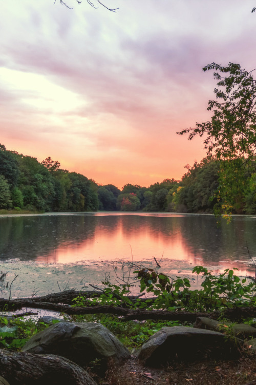 sitoutside:  A Beautiful Drizzle by Anthony Fields
