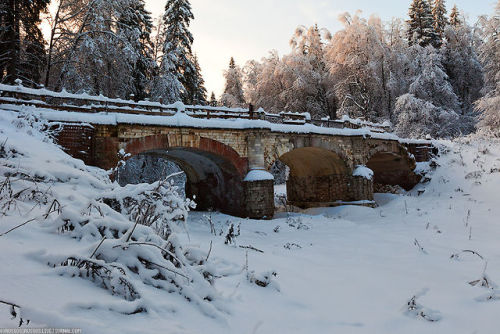 thebeautyofrussia:Garden in the Homesteads of Serednikovo, Moscow Oblast, Russia by “Russos&rd