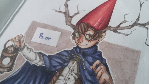 wirt otgw