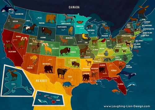 MAP OF ANIMALS OF USA / MAPA DE ANIMALES DE EEUUSource: Jennifer FarleyMore maps on  http://geomappi