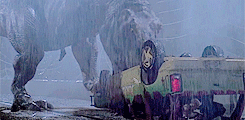hazel-swan: T  U  R  N      T  H  A  T      L  I  G H T     O F