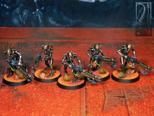 Necron Warriors of Nihilakh Dynasty.