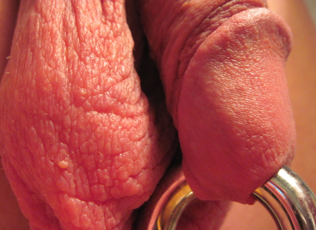 Wearing my heavy 00 gauge/10mm 1&quot; diameter circle ring; the middle photo
