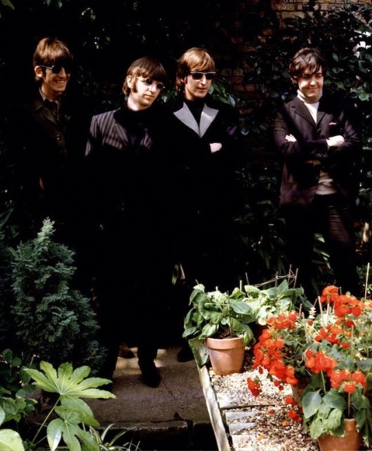 THE BEST PICTURES OF THE BEATLES IN COLOR