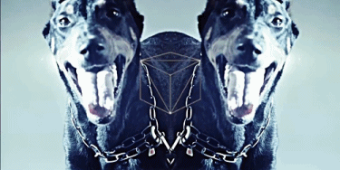 Lord Husvm ♋