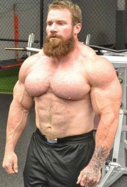 keepemgrowin:Seth looking absolutely massive…