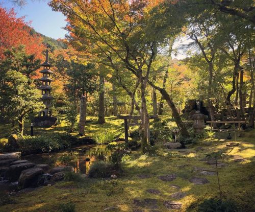 ＼ 秋の庭園公開情報 ：今日から！ ／ 京都市左京区の南禅寺の『大寧軒』の庭園が本日より特別拝観をスタート！ 10月に南禅寺の公式サイトに特別公開がある旨が掲載されていまして⇩ http://www.