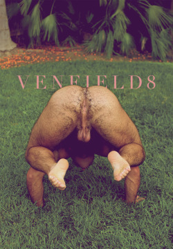 venfield8:  Handstand #2, 2017V E N F I E
