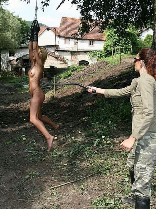 discipline-matters:  Delightful pair of photos, found separately on Tumblr, but re-united