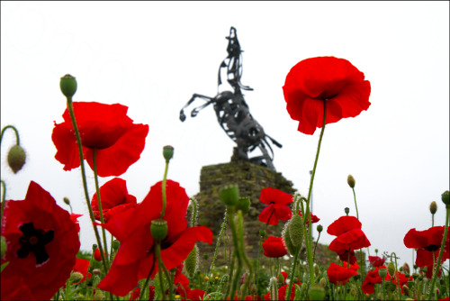 Memorial to the war horse in France