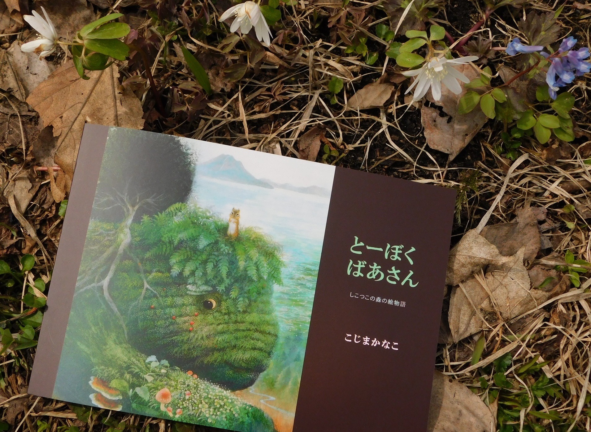 春咲千和 Explore Tumblr Posts And Blogs Tumgir 春咲千和 Explore Tumblr Posts And Blogs Tumgir