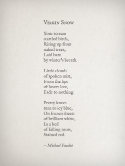 discolor3d:  Virgin Snow by Michael Faudet