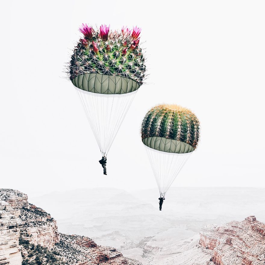 pr1nceshawn:  Surreal Illusions by Luisa Azevedo.
