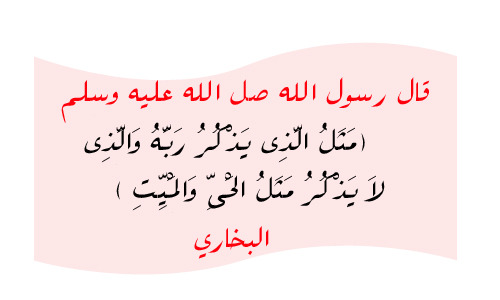 ottaaaaa:  ♥بِــذِكْــرِكَ رَبِّــي يُرْتَـــاحُ قَلْبـــي♥