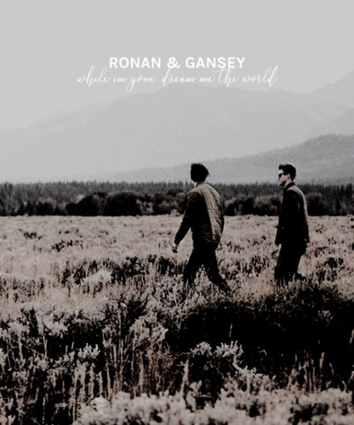 brekkerskaz:“That look, Blue thought. Ronan Lynch would do anything for Gansey.”happy birthday ronan