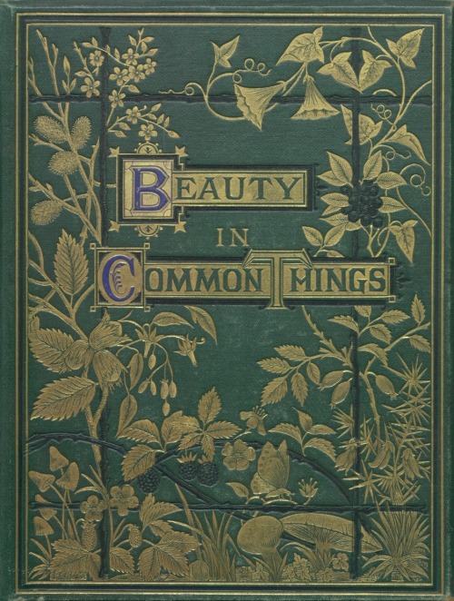 A. C Chambers - Beauty In Common Things, Imprint: New York : Pott, Young & Co., 1874