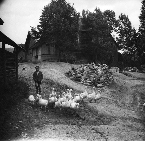 lamus-dworski: Eustachy Kossakowski: Pieniny (region in southern Poland), 1960.Source: artmuseum.pl