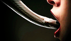 robertkazinsky:  American Horror Story: Coven | Slither Promo 