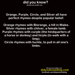 not-reality:  gearholder:  geradex:  naomiknight17:  did-you-kno:  Source  … dude  Wat  Twilight is now Purple Curple.  Orange still has no rhymes. You can’t use proper nouns as rhyming words!  Woah. o_o