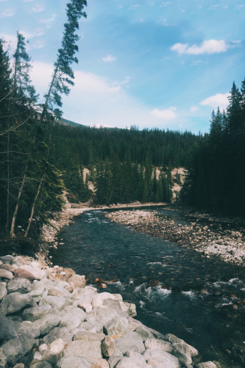 avenuesofinspiration:Down by the River | @Mammothstock | AOI