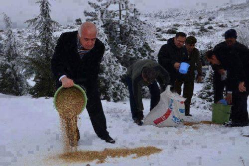 momo33me: This is a very old Islamic tradition, still alive in parts of Turkey. When a white blanket