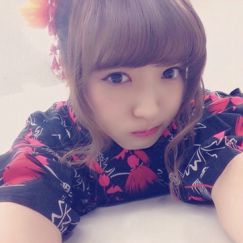 Acehikari4 - A 48G Blog