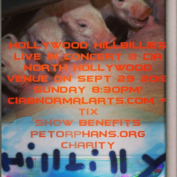 Hollywood Hillbillies live in concert @ciabnormalarts benefitting petorphans.org local charity Sept29 Sunday night!! @jbenjami28 #concert #localband #charitybenefit #hollywoodhillbillies #piglets #piggies #mspaint my first time making a flyer!