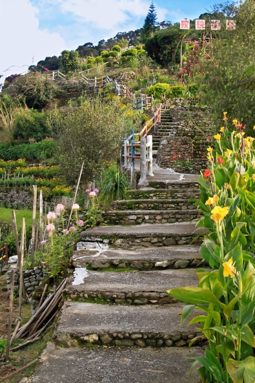 breathtakingdestinations:Cameron Highlands - Malaysia (by Clark & Kim Kays) 