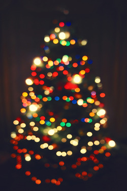 c1tylight5:  Christmas Lights | Stefano Di Biagio   