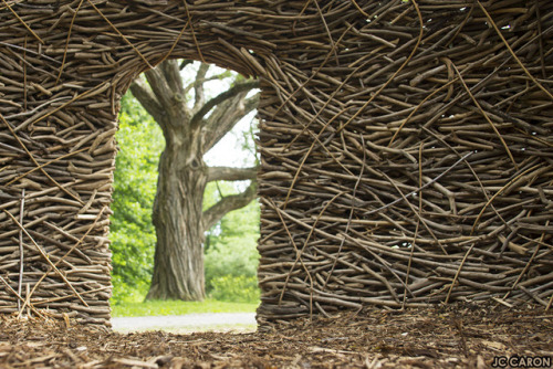  Quoi de neuf au jardin botanique de Montréal ? Des sculptures, des moutons, … 