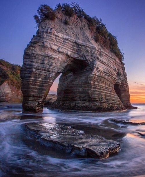awesomeearthpix:Elephant Rock, New Zealand | Photography by ©Rach StewartWow, I thought about an Ele