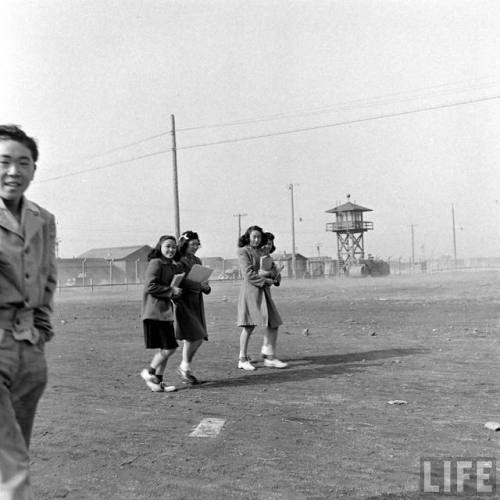 Tule Lake Relocation Center(Carl Mydans. 1944)