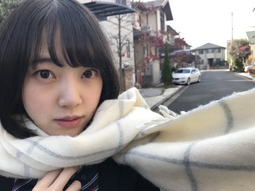 turkeywen: ベストアーティスト2017 reblogged with tintum.