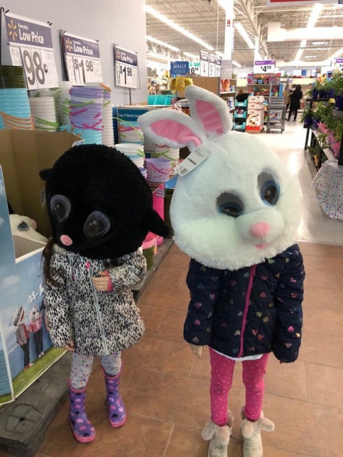 maskimals bunny