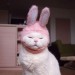 tumblr photo prettycocokitty 19