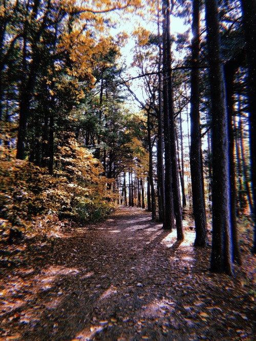 unapologetically-bratty:Autumn in New England ✨🤩💖